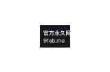 “安全访问91中文网站的永久链接及使用指南”
