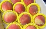 "探索蜜桃的甜美魅力，感受夏日的清新与活力"