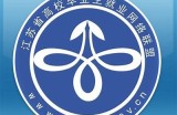91就业信息网：便捷的登录入口与使用指南