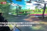 《探索91视频：牛牛带你畅游精彩短视频世界》