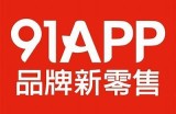 苹果91轻量版官方网站入口及使用指南解析