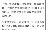 “91地址电脑版永久访问入口获取指南与使用说明”