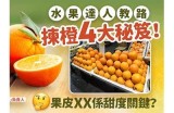 橙子入口：探索健康美味的水果世界