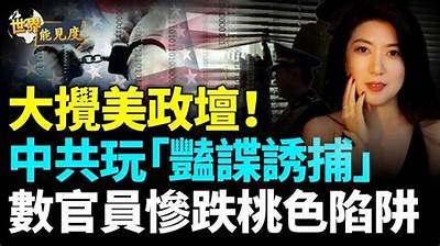 探索桃色世界的入口，揭秘浪漫与情感的绚丽交织。