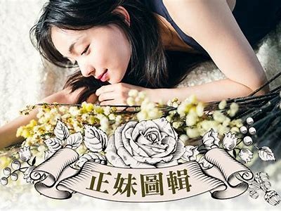 91md传媒官方平台安全访问指南与使用说明