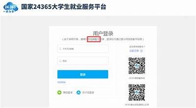 91就业系统登陆界面访问指南与操作步骤详解