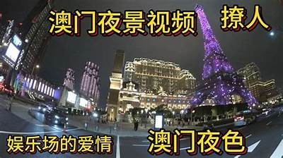 探索澳门夜生活的迷人魅力与娱乐场所的精彩体验