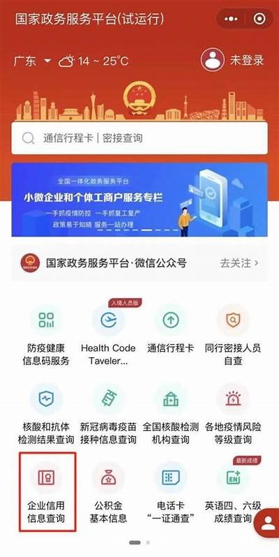 国内在线入口平台的最新发展与使用指南