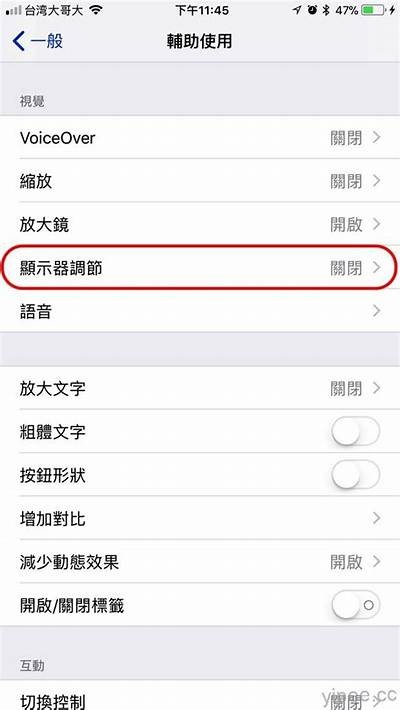 探索91黑卡苹果版的使用方法与下载指南，轻松获取更多优惠与服务。