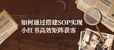 探索91k视频平台：网红入驻及创作机会一览