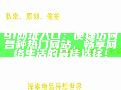 安全访问91网站的合规入口指南与操作步骤解析