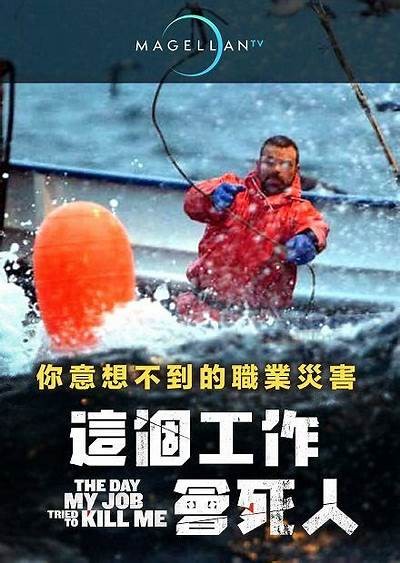 探索在线影视的新选择：免费观看精彩内容的最佳入口介绍