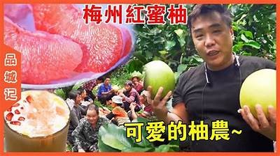 清新蜜柚，畅享91种精彩免费视频带来的视觉盛宴！