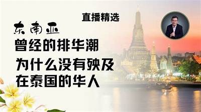 提供精彩华人视频内容，让你享受多元文化与娱乐乐趣！