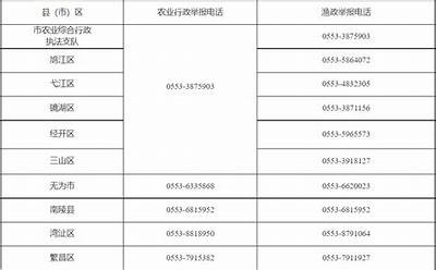 91人因违规行为被调查，影响行业形象引发关注