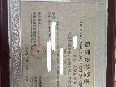 如何顺利申请91白条服务的详细指南与入口介绍