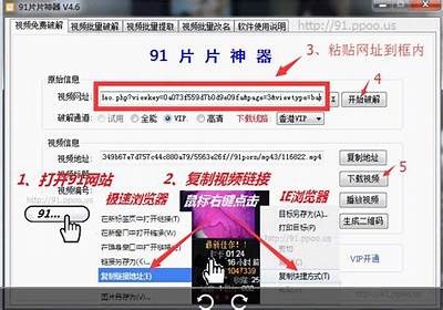分享91免费视频的会员账户使用技巧与注意事项