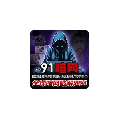 探索免费访问91资源的安全途径与使用指南