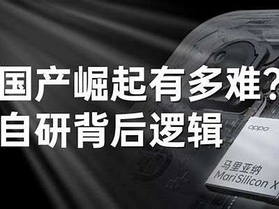 新兴国产产品入口分析与市场展望