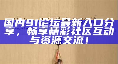 了解91论坛的最新动态及用户交流平台入口信息。