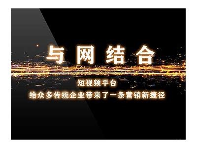 探索独特的短视频平台，畅享创意与分享的乐趣！
