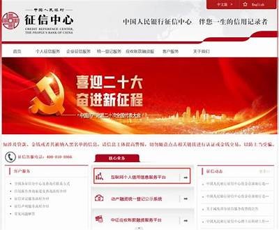 如何访问91征信平台：详细指南与步骤解析