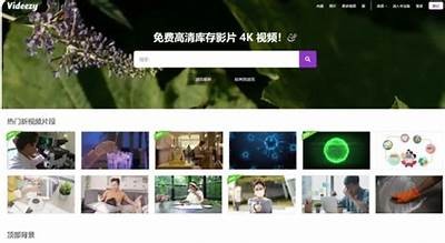 寻找优质免费视频资源，获取最新影视观看平台推荐。