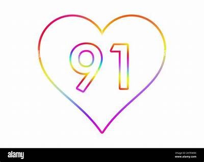全新91浏览器官网入口，畅享快速安全的上网体验！