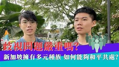 台湾视频分享社区：探索多元生活与文化的平台