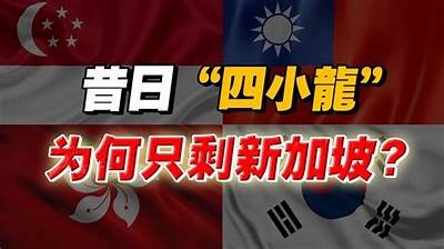 四虎紧急入口：如何安全访问和保护个人隐私技巧解析