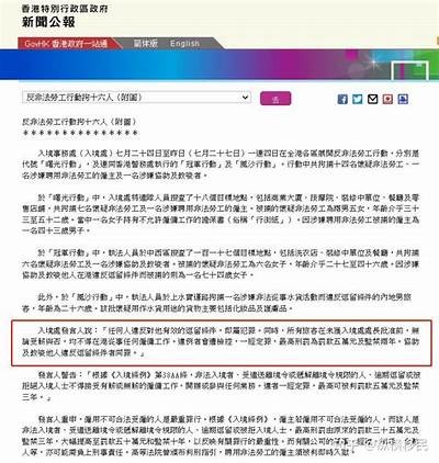 如何顺利申请91白条服务的详细指南与入口介绍