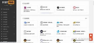 "安全便捷的91网站入口，轻松获取所需资源"