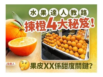 橙子入口：探索健康美味的水果世界