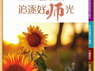 如何访问91征信平台：详细指南与步骤解析