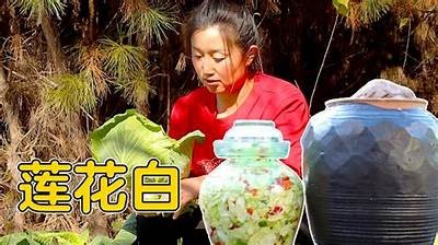 《白莲花》全季免费观看，尽享精彩剧情与角色发展。