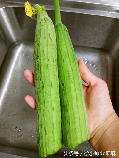 探索丝瓜视频的多样内容，畅享丰富的影视资源与精彩娱乐体验！