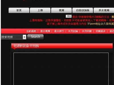 “探索91黑接点资源的合法使用与应用途径”