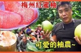 清新蜜柚，畅享91种精彩免费视频带来的视觉盛宴！