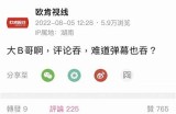 中国本土资源分享平台：安全便捷的内容获取入口