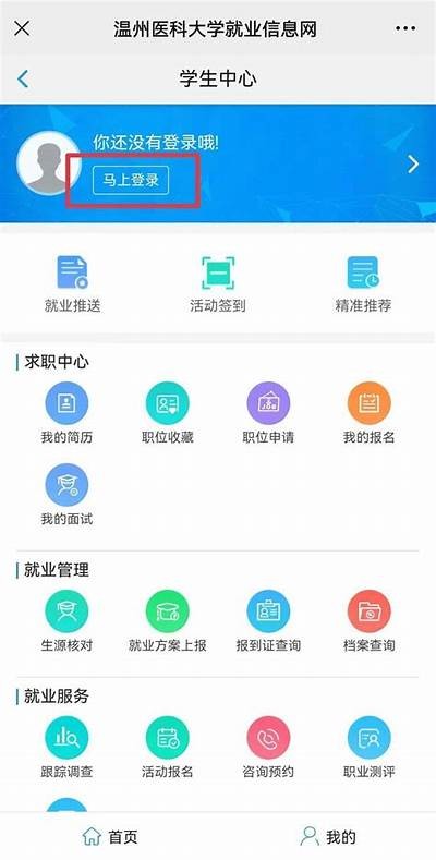 学生登录91job智慧平台的入口及使用指南