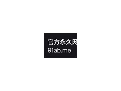 “安全访问91中文网站的永久链接及使用指南”