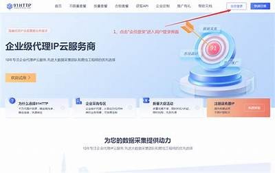 获取91平台免费入口的详细指南与最新地址分享