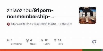 91网站资源下载指南：安全入口及使用技巧解析