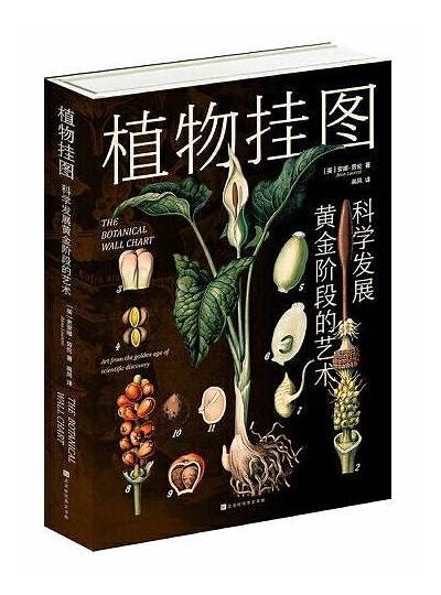 探索丰富多彩的动漫世界，免费观看最新热门动画作品的优质平台推荐