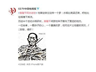 最新91论坛入口指南：安全访问与使用技巧分享
