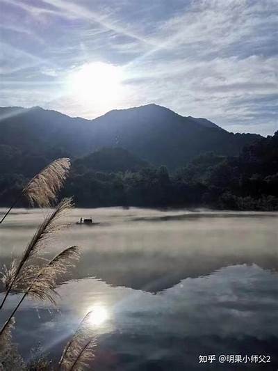 如何找到91旺财借款的官方入口和使用指南